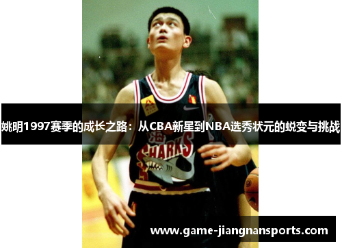 姚明1997赛季的成长之路：从CBA新星到NBA选秀状元的蜕变与挑战